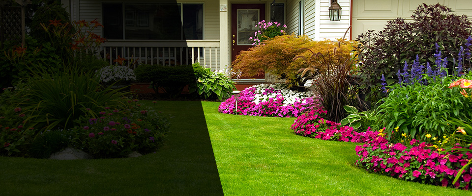 Pflugerville Landscapers