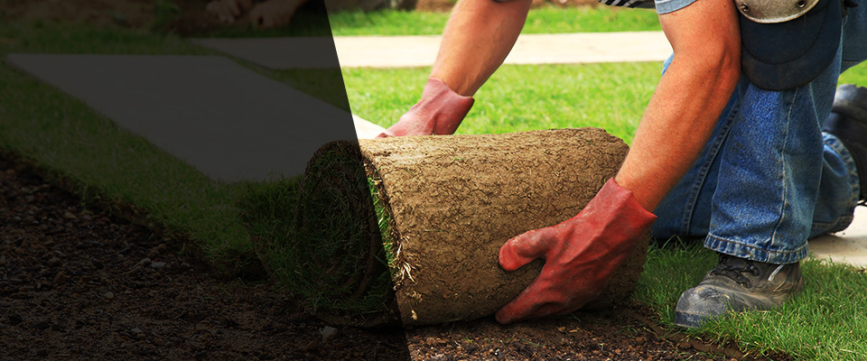Pflugerville Landscapers